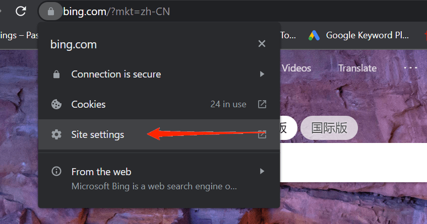 How to Fix Google Translate 'This Page Could Not Be Translated'? 8 site settings chrome
