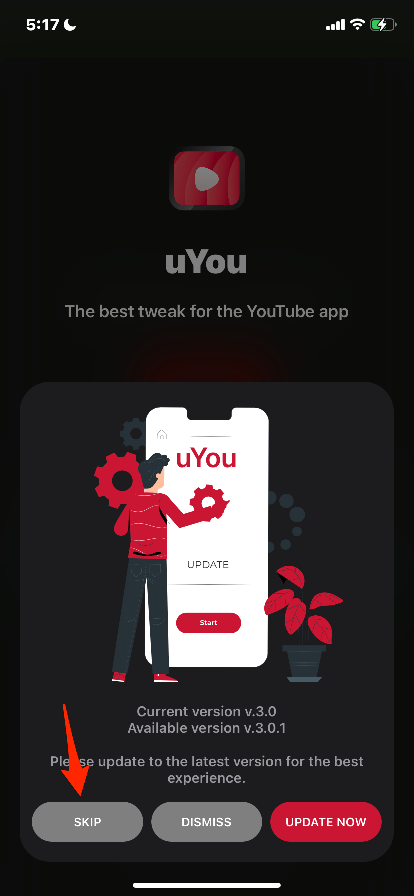 How to Install YouTube Vanced on iPhone without Jailbreak? 25 Skip_Update
