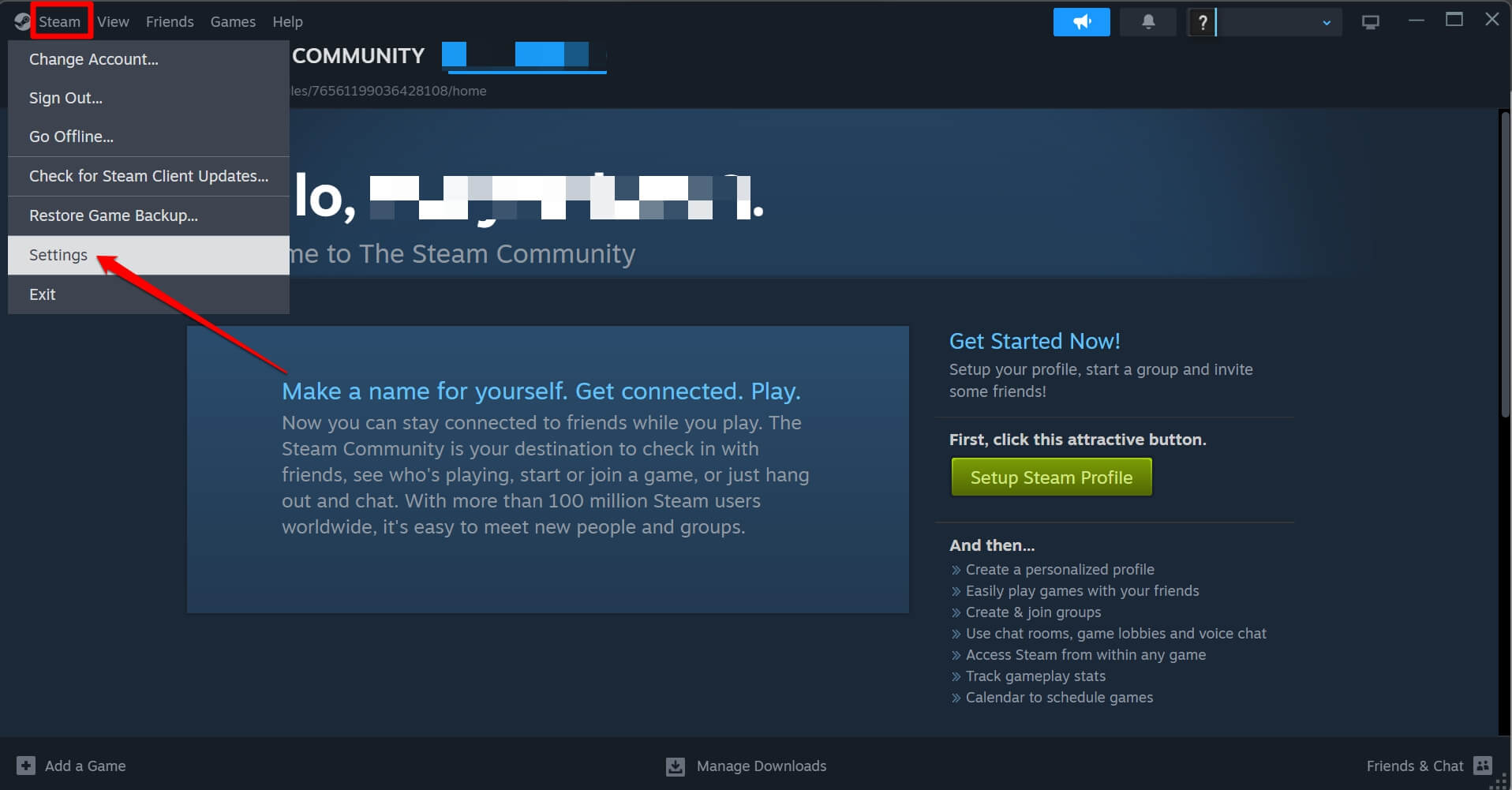 Steam settings