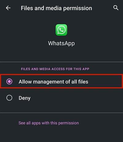 How to Fix 'This Media File Appears to be Missing' on WhatsApp? 7 media file permissions whatsapp