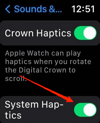 10 Ways to Fix Apple Watch Not Vibrating 8 enable the System Haptics option
