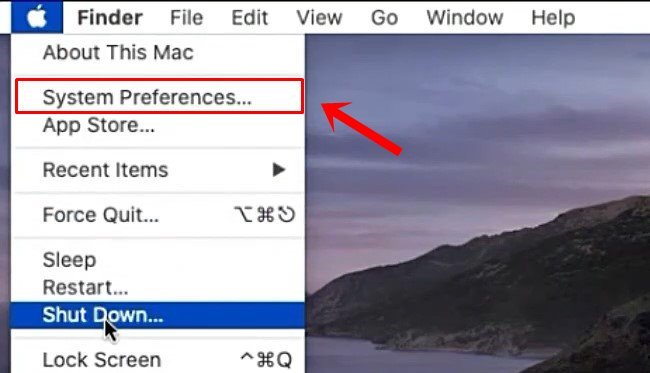 How to Run macOS Apps on Windows? 14 System Preference