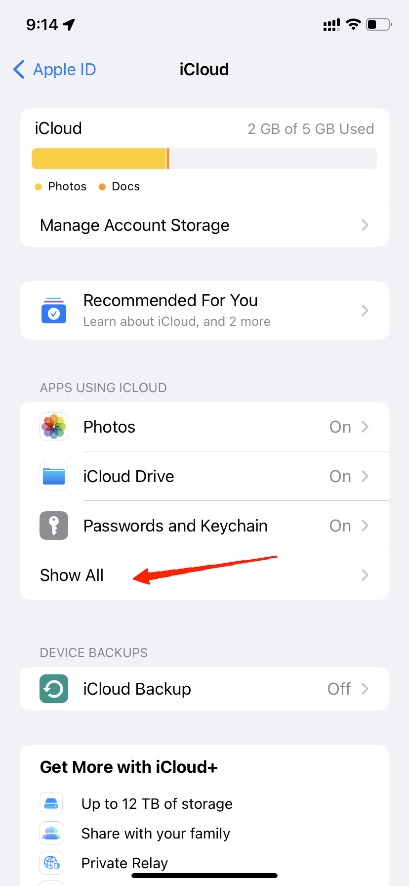 Why Can't I See Pictures on iMessage? Easy Fixes! 5 Tap on 'Show All' under the 'Apps using iCloud' section.