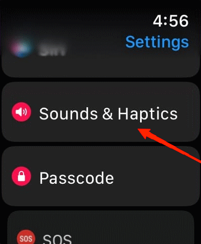 10 Ways to Fix Apple Watch Not Vibrating 4 scroll down and go to Sounds & Haptics