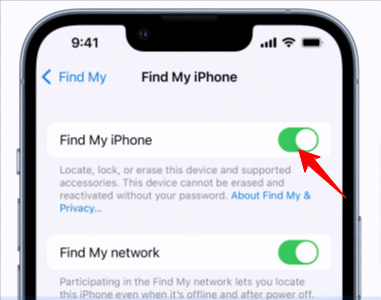 Toggle On Find My iPhone