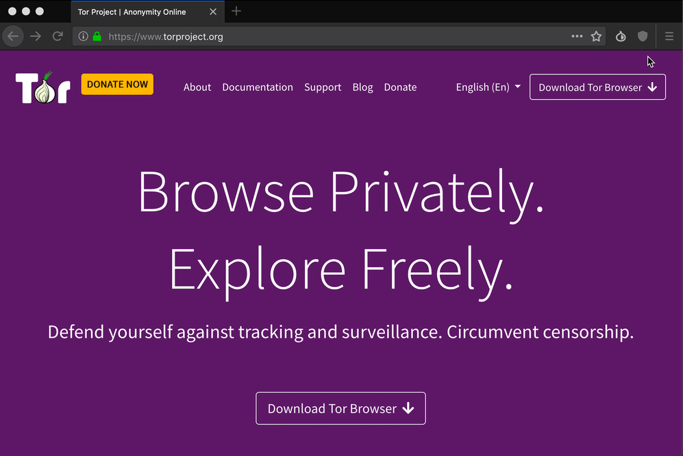 Best Browser for Windows for Faster Web 7 Tor browser