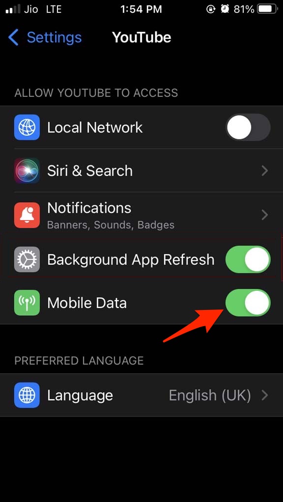 How to Fix YouTube Not Working on iPhone? 5 Turn ON Mobile Data Access to YouTube App