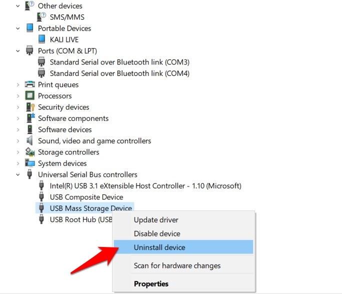Universal Serial Bus Controllers section