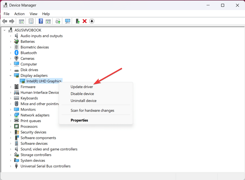 What to do if you See Horizontal Lines on Laptop Screen? 4 Update Display Driver