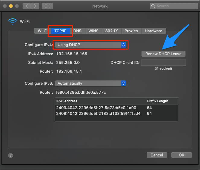 Fix "Safari Can't Find the Server" Error on Mac 10 Use_DHCP