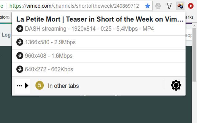 10 Best Google Chrome Video Downloader Extensions 6 Video Download Helper