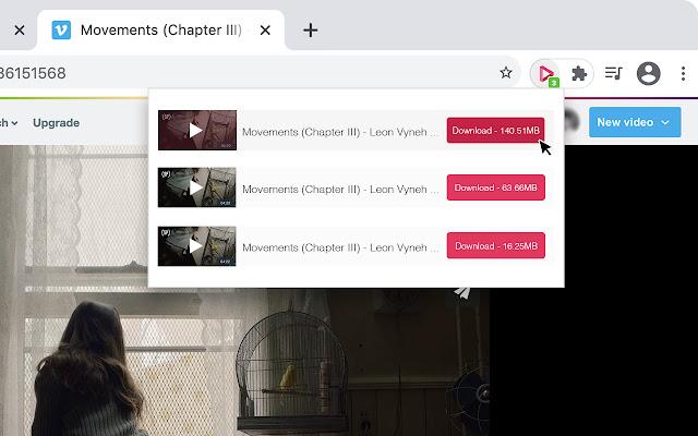 10 Best Chrome Video Downloader Extension 3 Video Downloader Professional