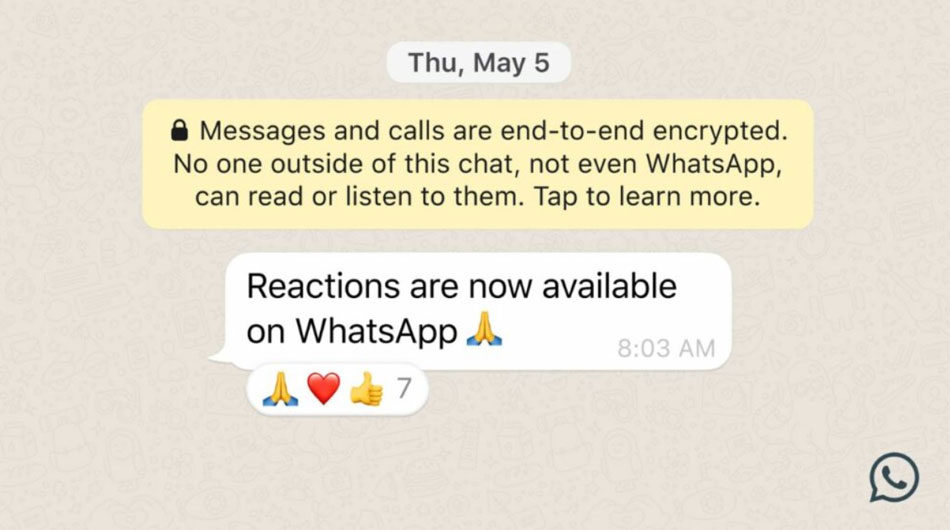 How to Use Message Reactions on WhatsApp? 2 Reactions on WhatsApp