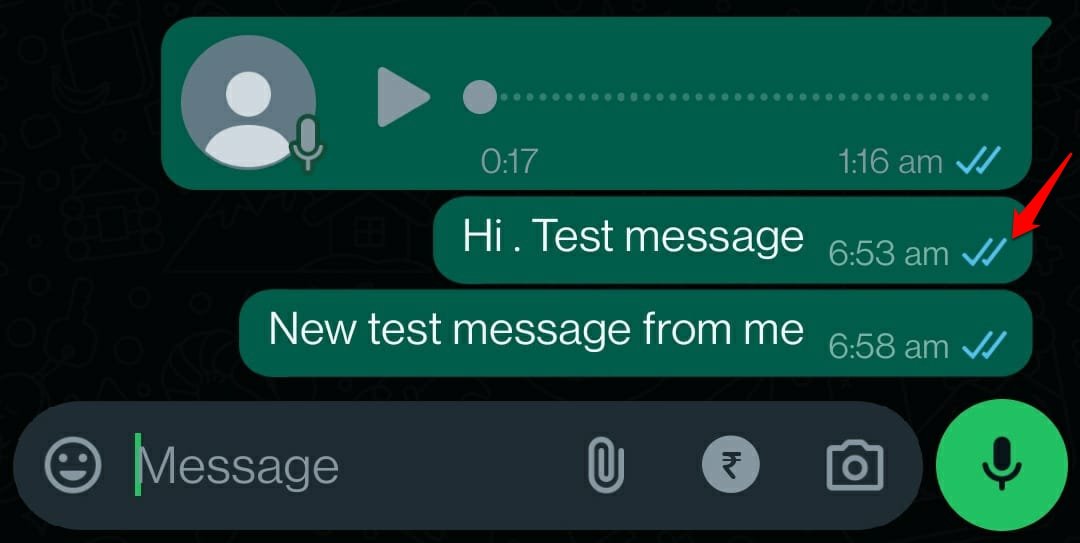 What Do the Different Icons and Symbols Mean on WhatsApp 15 WhatsApp message double blue tick
