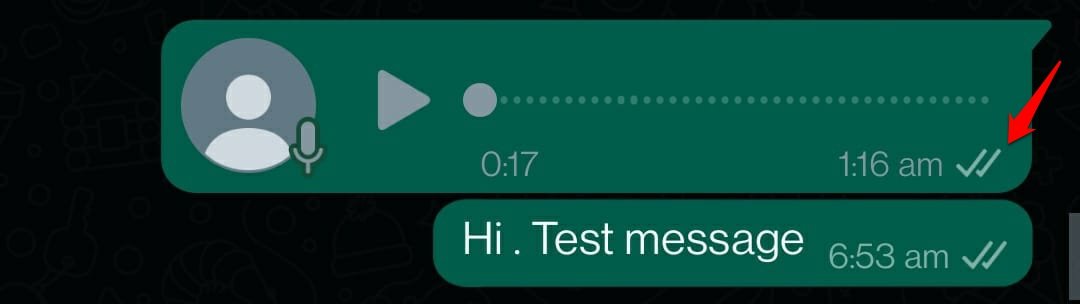 What Do the Different Icons and Symbols Mean on WhatsApp 16 WhatsApp message double grey tick meaning