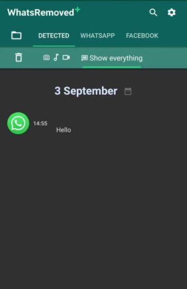 How to Recover Deleted WhatsApp Chat? 6 WhatsRemoved+