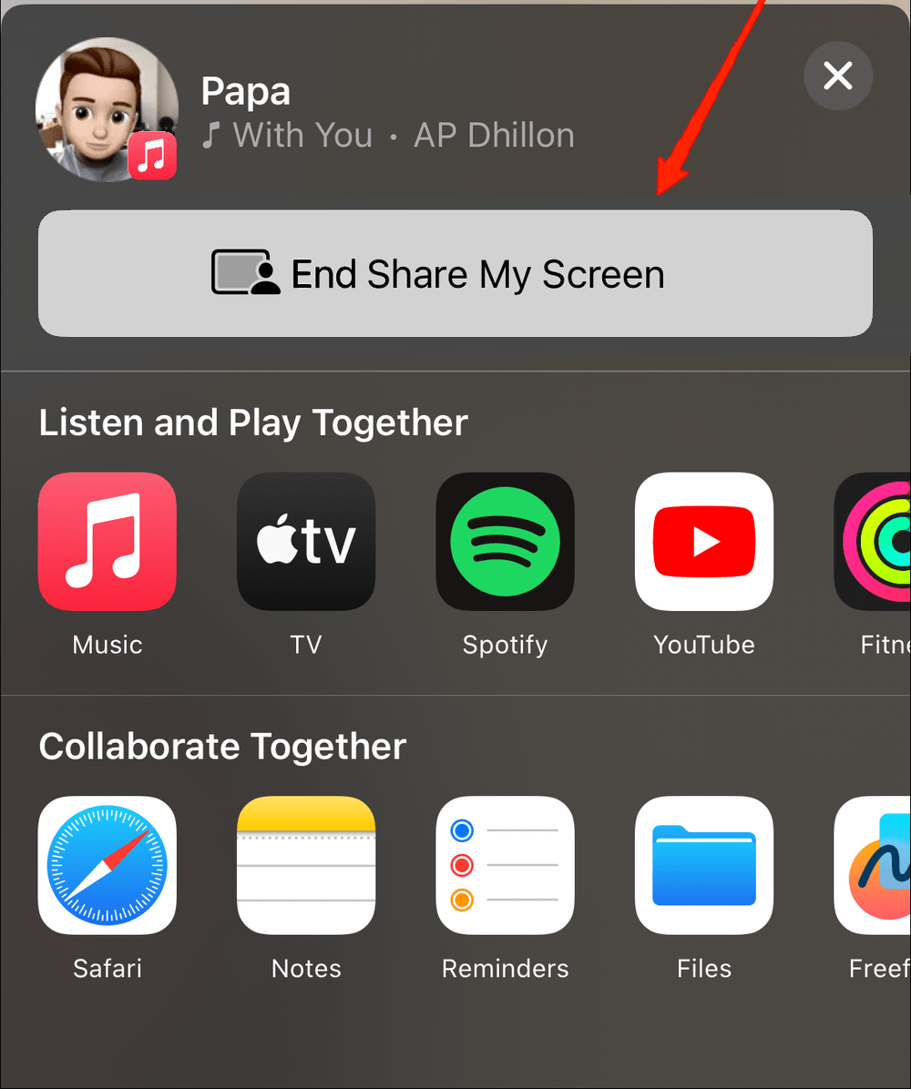 Apple SharePlay: What It Is and How to Use It 7 When you wish to end screen-sharing, tap on the video call to pull up the screen. Again, click on the end share play button and that's it.