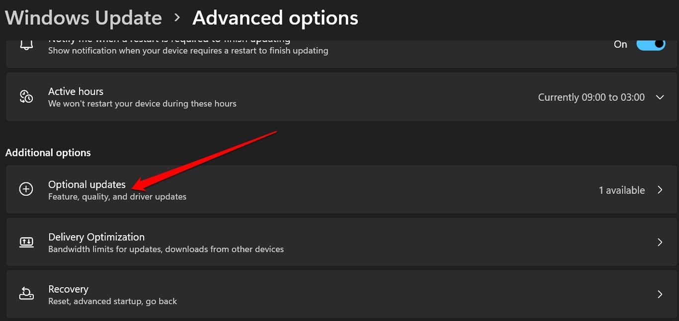 How to Fix Error Encountered During Windows Update? 9 Windows OS optional updates