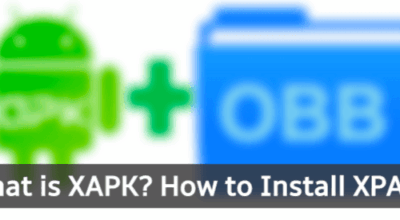 XAPK