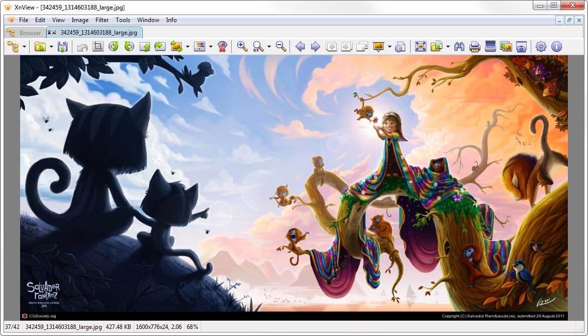 10 Best Image Viewer Apps for Windows 11 4 XnView