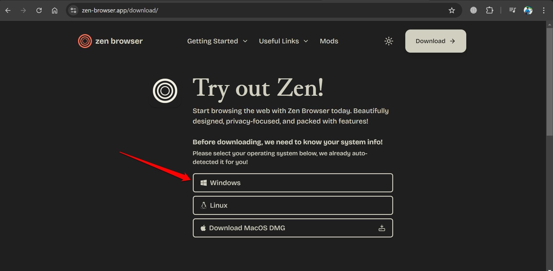 Zen browser: Firefox-based Cybersurfer that is out to Kill Chrome? 5 Zen browser for Windows
