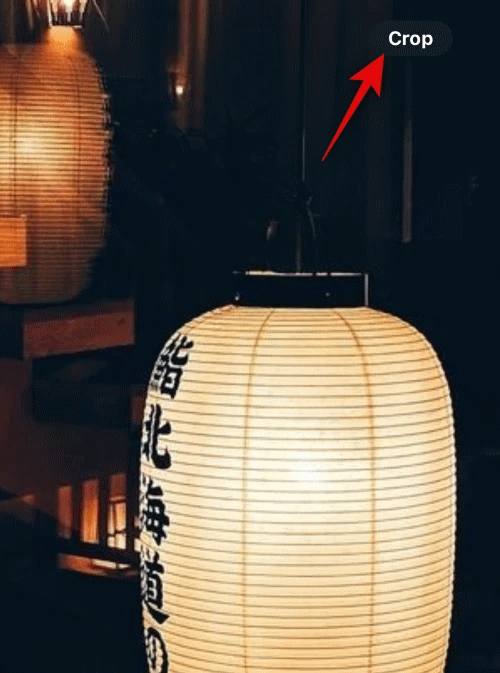How to Zoom and Crop Photos in iPhone with iOS 17? 3 Zoom in to the particular part of the image you want to crop.