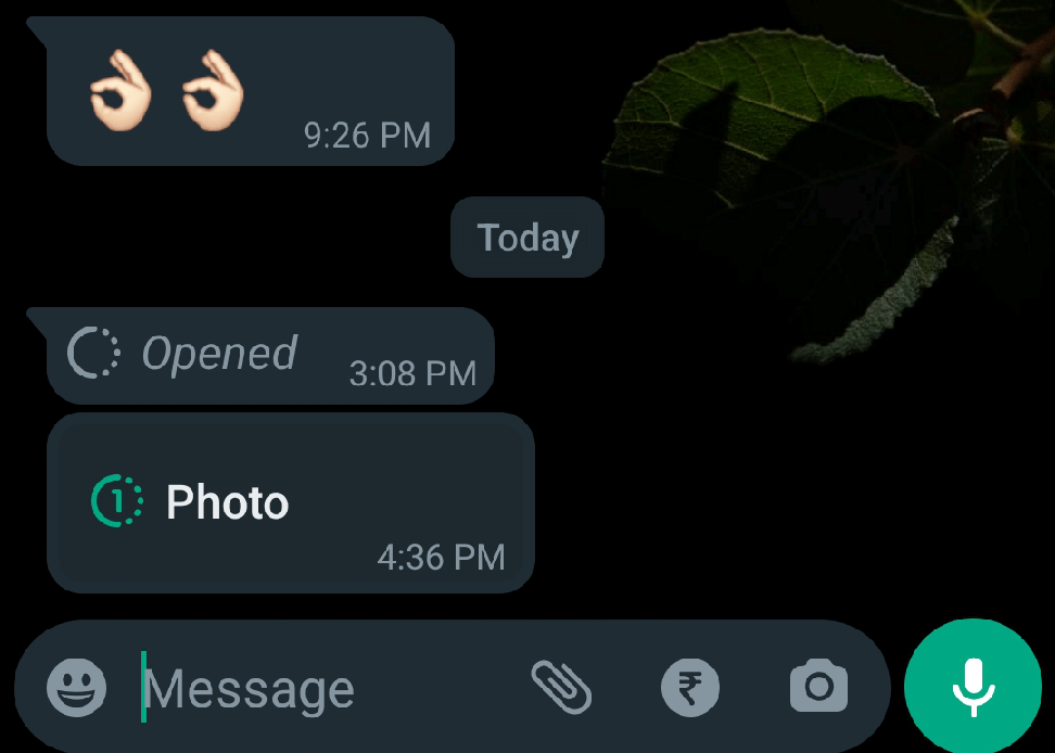 How to Take a Screenshot of a View Once Photo on WhatsApp 4 How to Take a Screenshot of a View Once Photo on WhatsApp 3