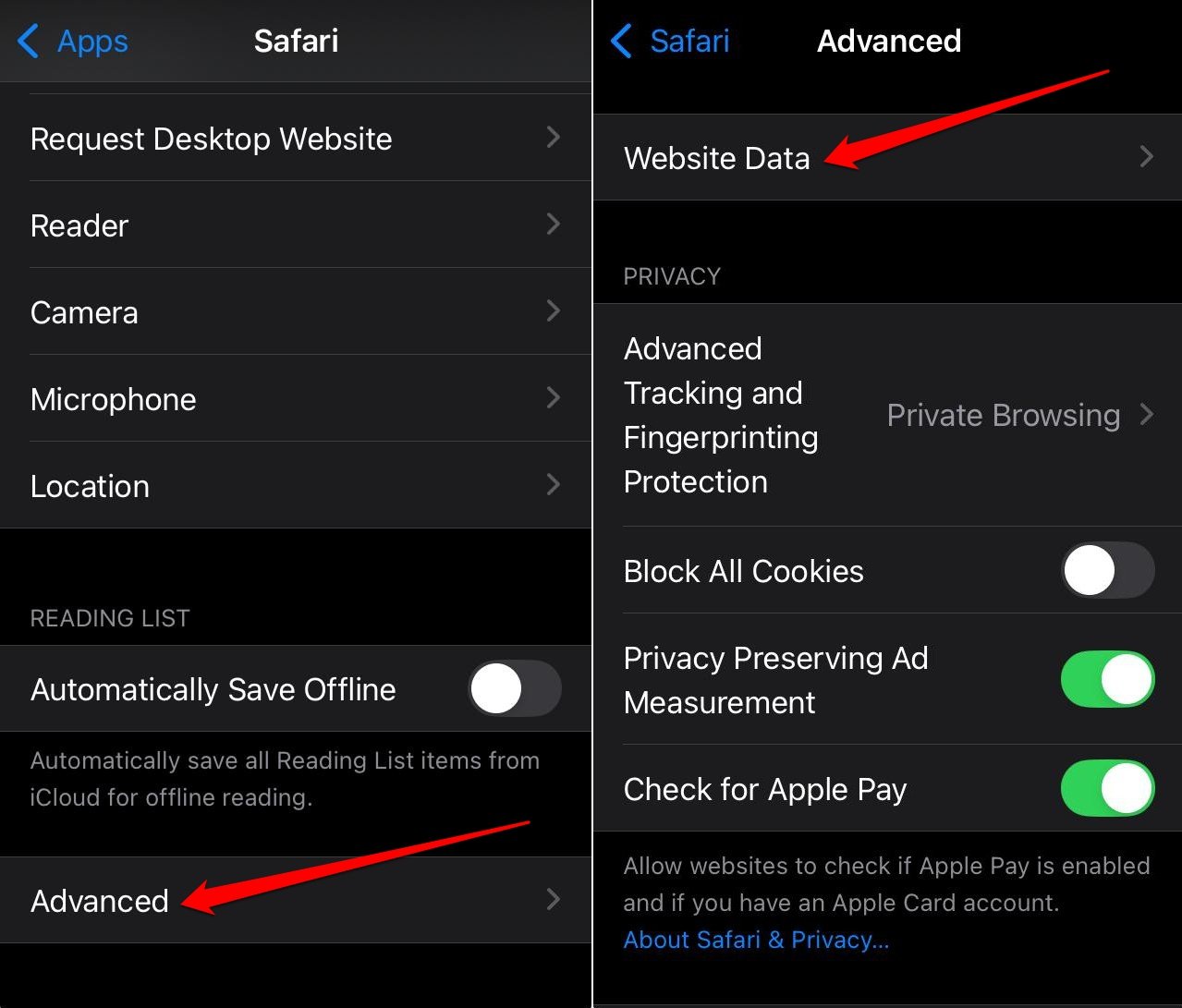 5 iPhone Settings I Changed to Make My Old iPhone Super Fast 3 access Safari website data