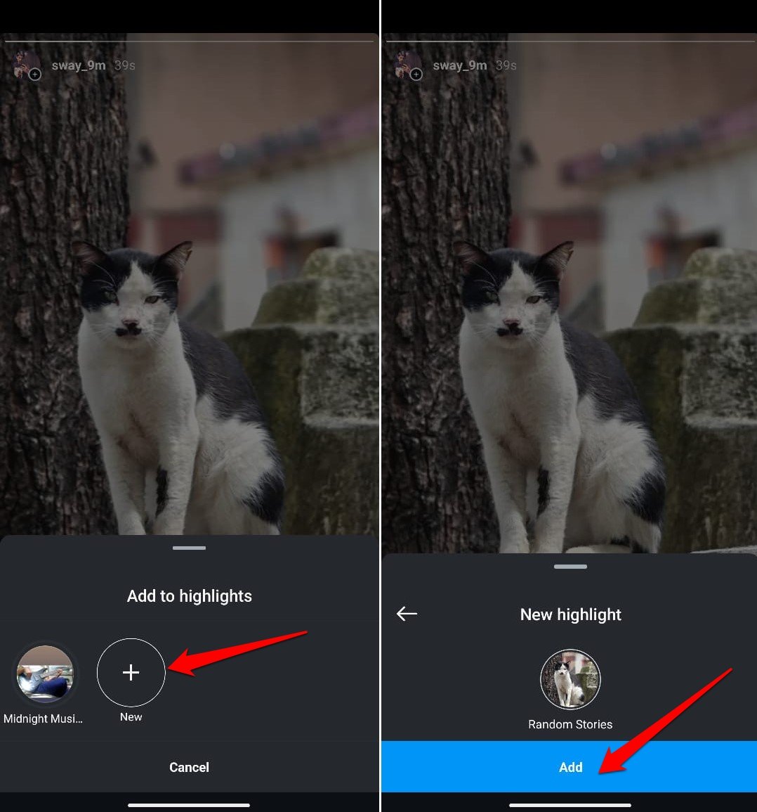 How to See who Viewed your Instagram Profile 8 add a highlight to Insta account
