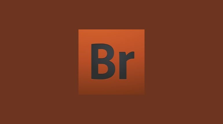 How to Fix 'File-Format Module Cannot Parse the File' Error in Photoshop? 8 adobe bridge