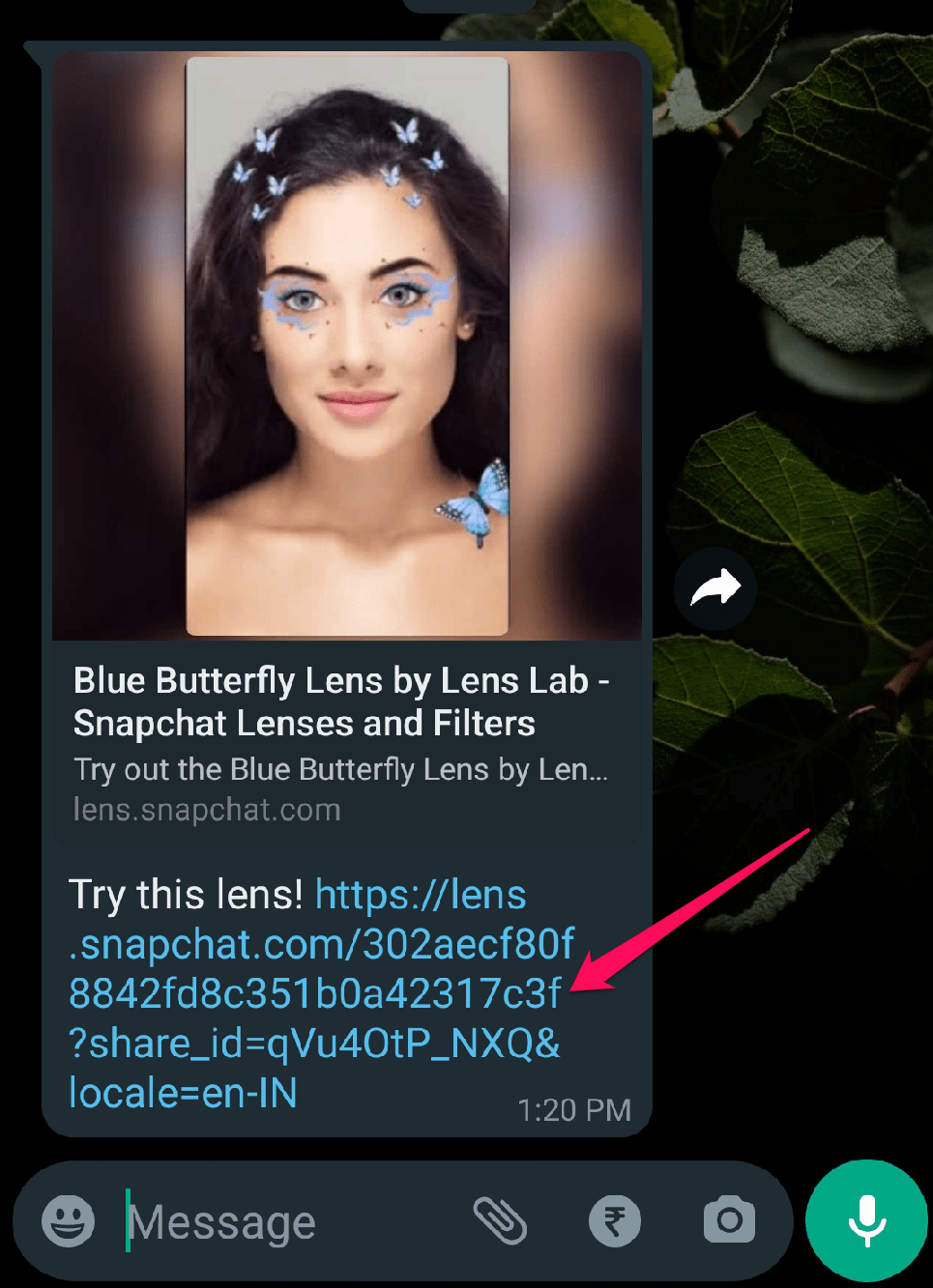 How to Unlock the Butterflies Lens on Snapchat? 6 How to Unlock the Butterflies Lens on Snapchat? 1
