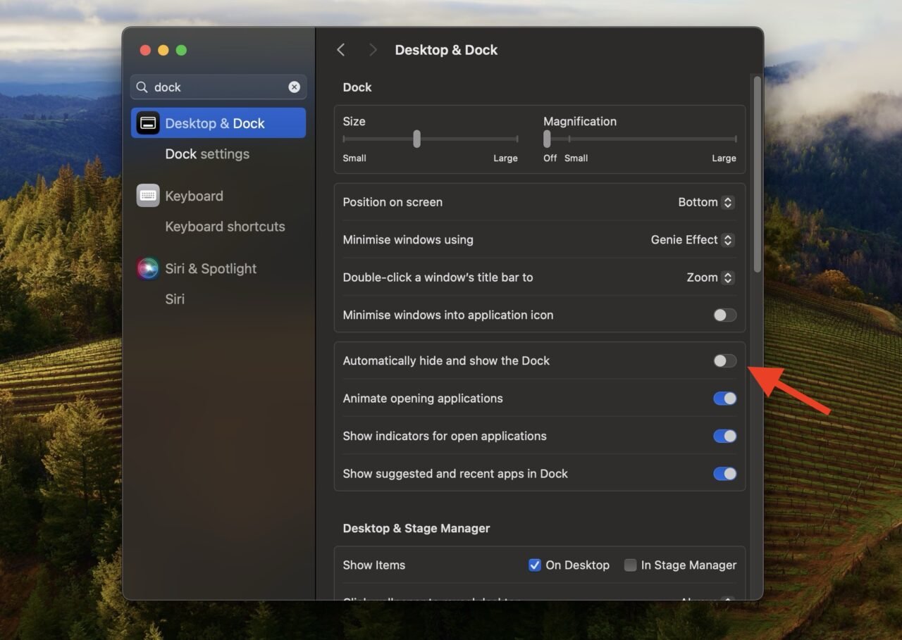 Dock Disappeared on Mac? Here’s How to Recover It 4 Automatically Hide and Show Dock