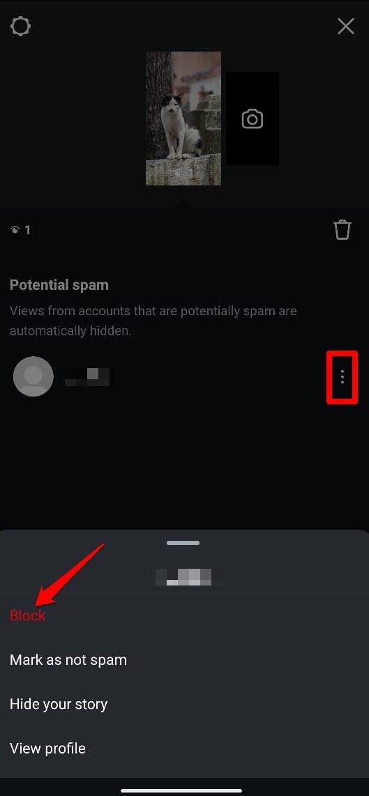 How to See who Viewed your Instagram Profile 6 block account on Instagram story