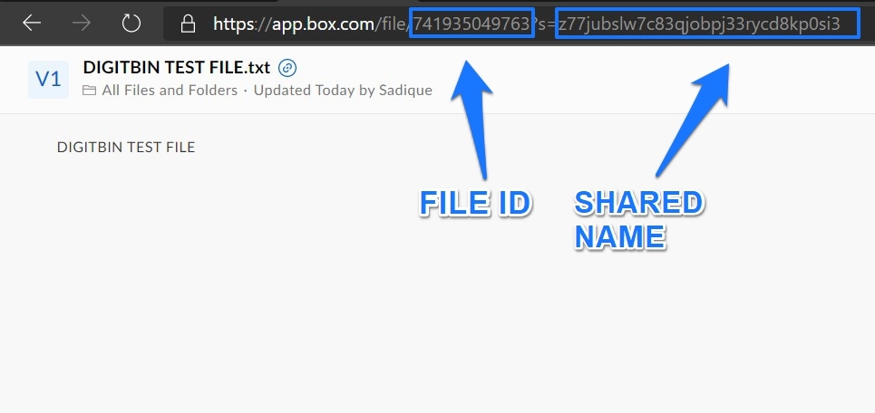 How to Generate Direct Download Link for Cloud Storage? 21 box tweaked url