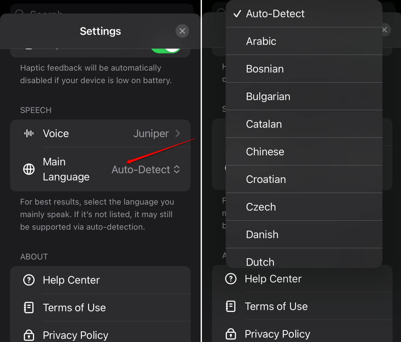 What is ChatGPT Voice and How to Use it on Your Mobile 3 change language on ChatGPT