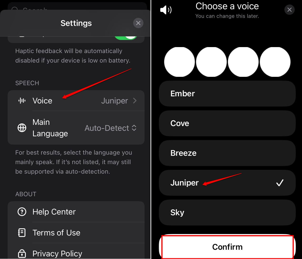 What is ChatGPT Voice and How to Use it on Your Mobile 6 change the voice of assistant on ChatGPT