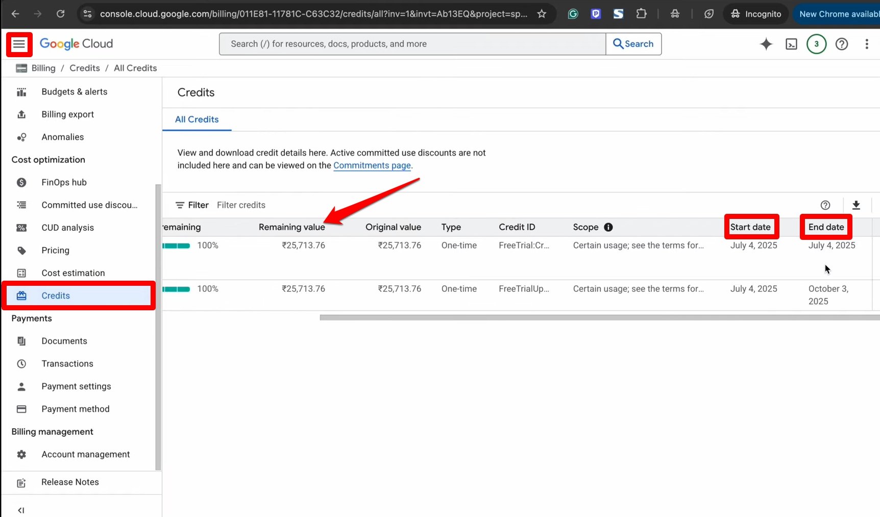 Google VEO 3 FREE for 90 Days! Step-by-Step Guide 24 check credit status on Google cloud