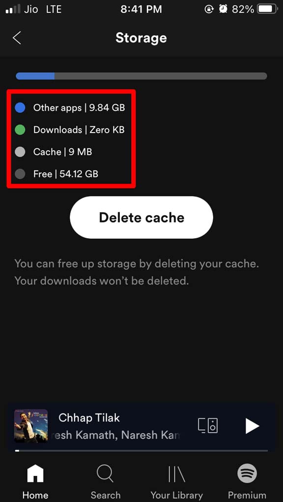 How to Fix Spotify Not Downloading Songs on iPhone? 13 check iPhone storage from Spotify