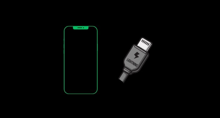 How to Fix iPhone Not Detecting Headphones 6 check if iPhone lightning port is damaged