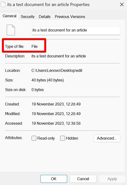How to Create a File Without Name and Extension in Windows 11 7 check the type of file