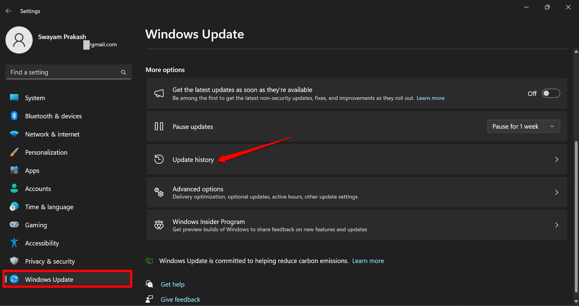 How to Fix Windows 11 Green Screen of Death 6 check update history
