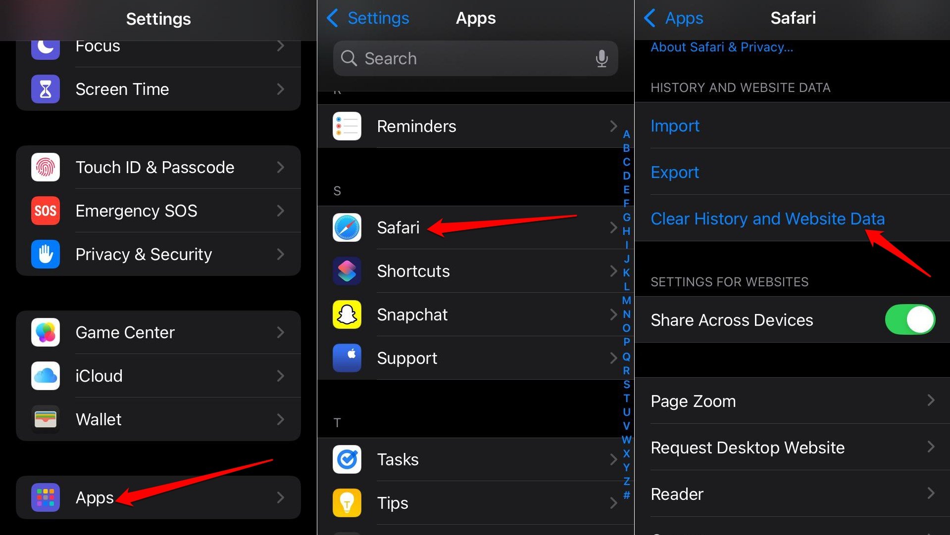 clear Safari browser data in iOS 18 