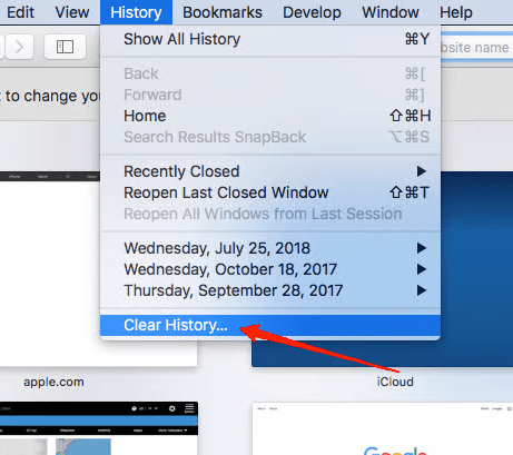 Next, expand the History menu and click on Clear History.