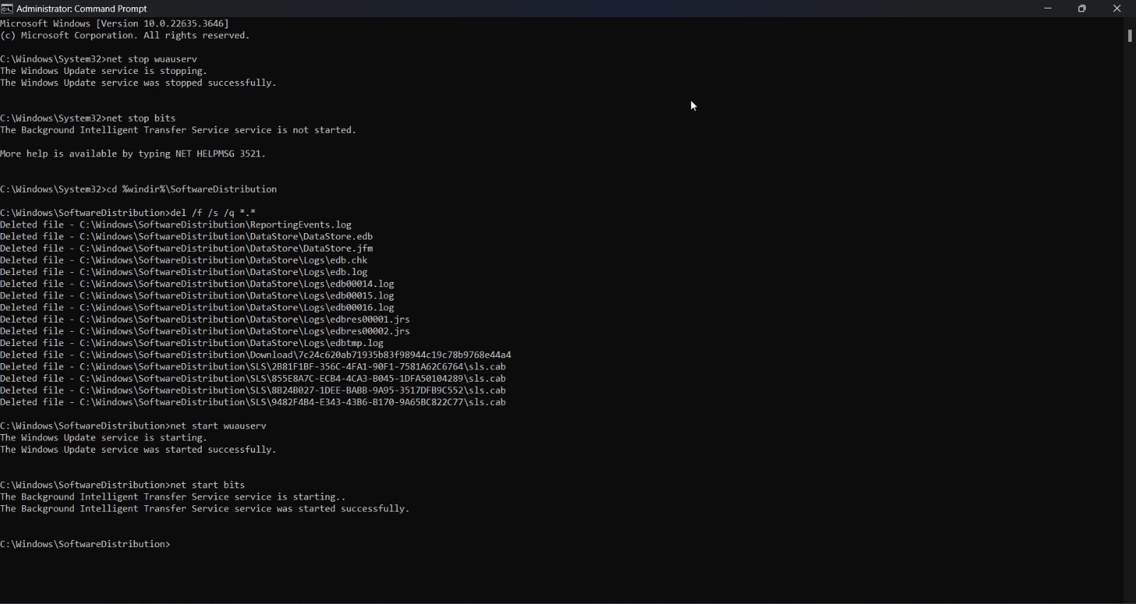 clear the update cache using command prompt