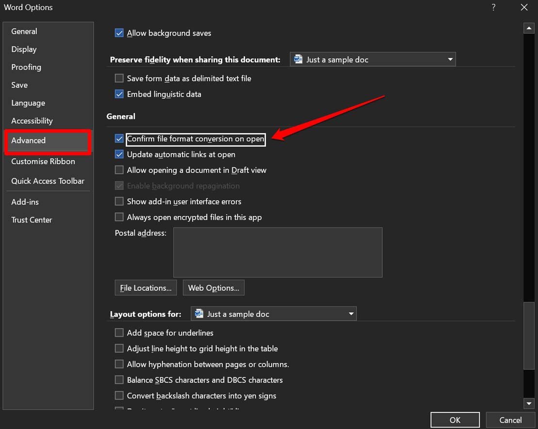 confirm file format conversion on open 
