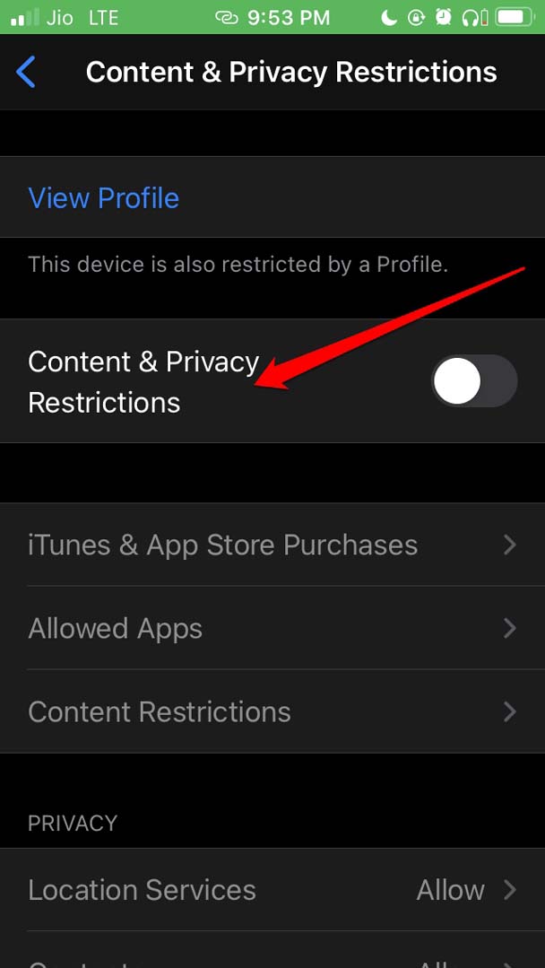 How to Fix iPhone Dictation Not Working? 12 content and privacy restrictions disabled