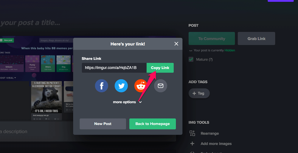 How to Make Photos Private on Imgur? 6 Copy the Imgur link