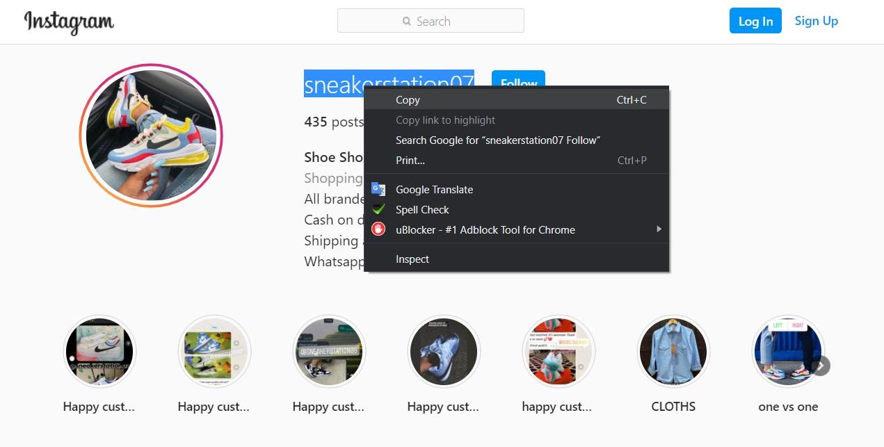 How to View Full-Size Instagram Photos? 6 copy the profile’s username