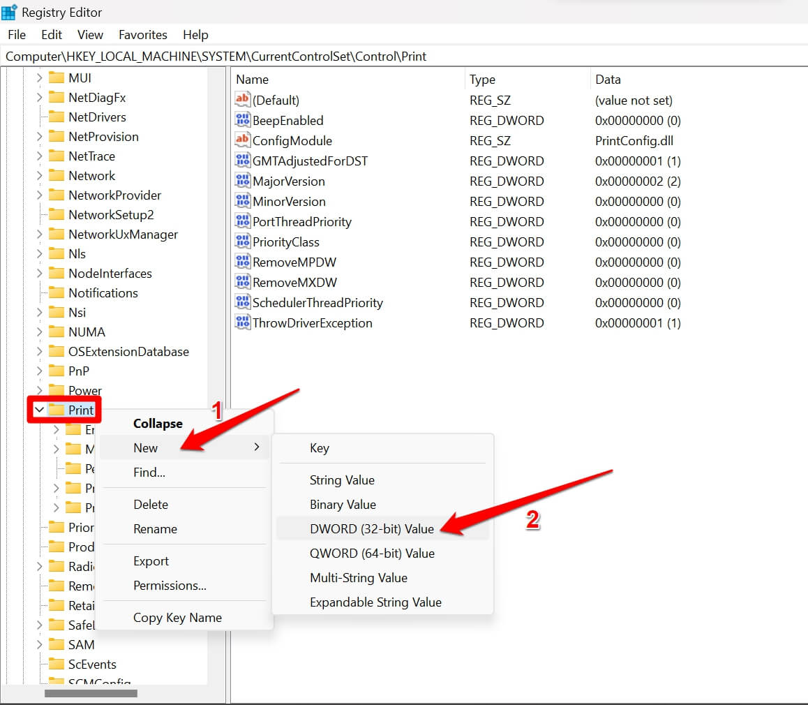 How to Fix ‘Not All of the Updates Were Successfully Uninstalled’ Error on Windows? 8 create new DWORD Value for Print key