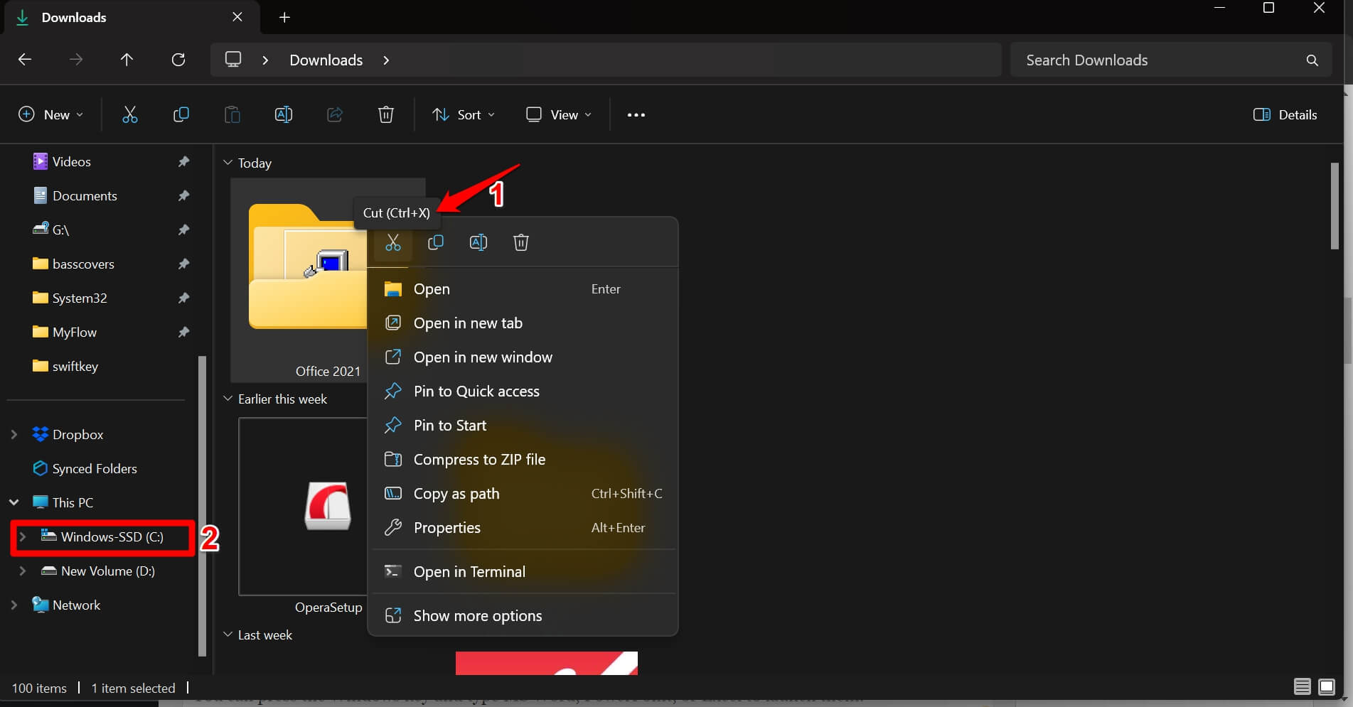 How to Download and Install MS Office Professional 2021 for Free 19 cut the Office 2021 folder
